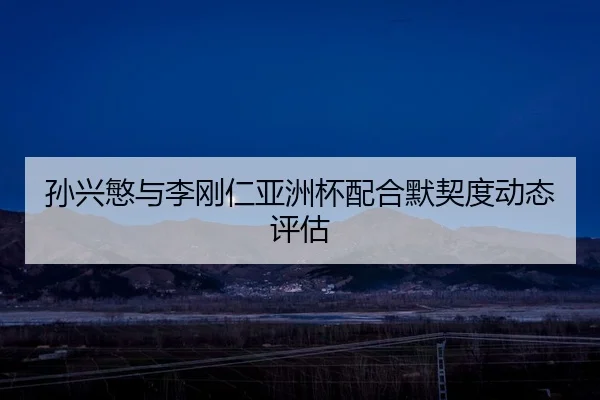 孙兴慜与李刚仁亚洲杯配合默契度动态评估（HuaTiHui）